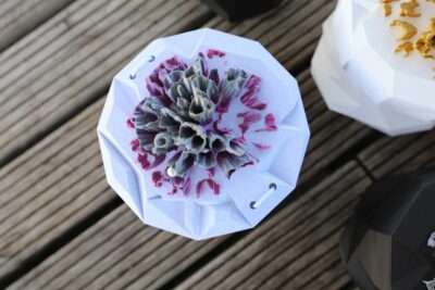 Bio-Urne: Terra Koralle