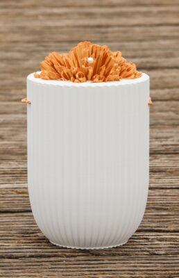 Bio-Urne: Helena Koralle (weiß)