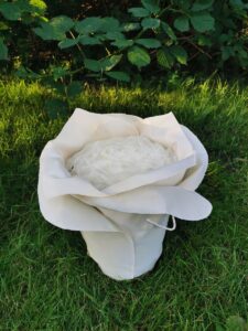 Urne in Blütenform: Maitea (champagnerfarben)