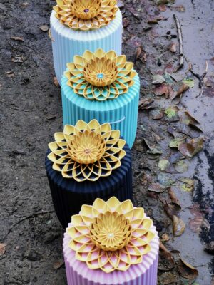 Helena (Lotus Deckelvariationen)